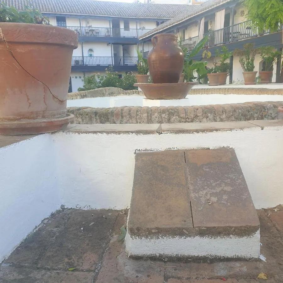 Rentalsevilla Un Oasis En El Centro De Sevilla Spain