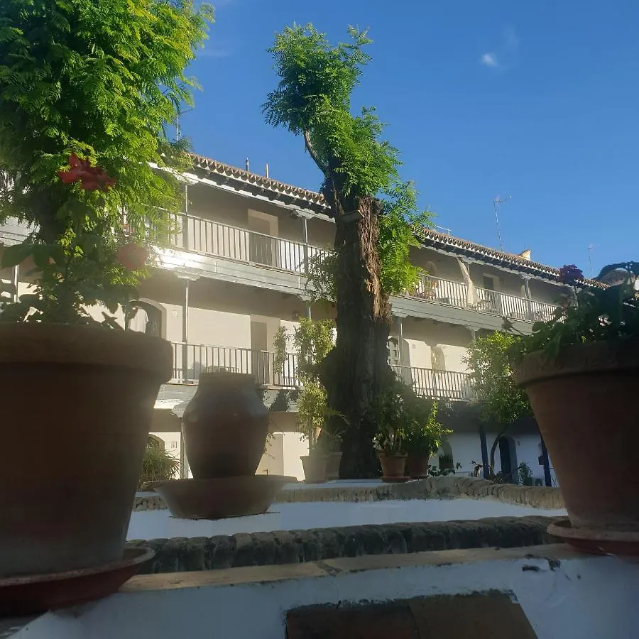 Rentalsevilla Un Oasis En El Centro De Sevilla Apartment Seville