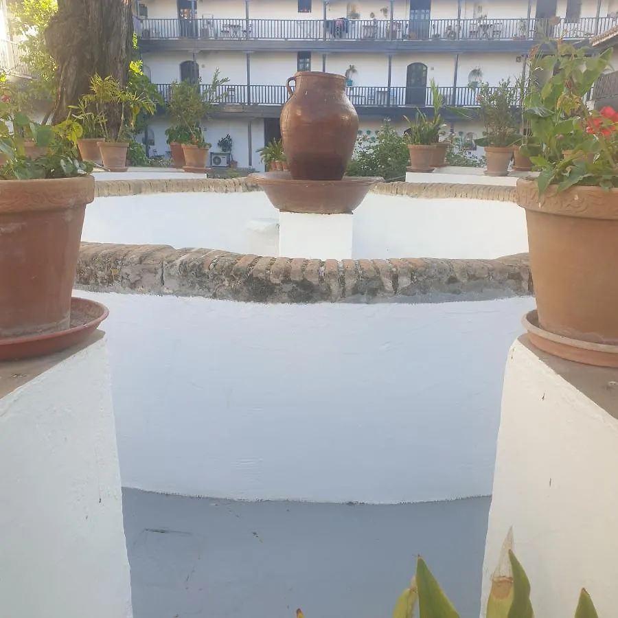 Rentalsevilla Un Oasis En El Centro De Sevilla Seville