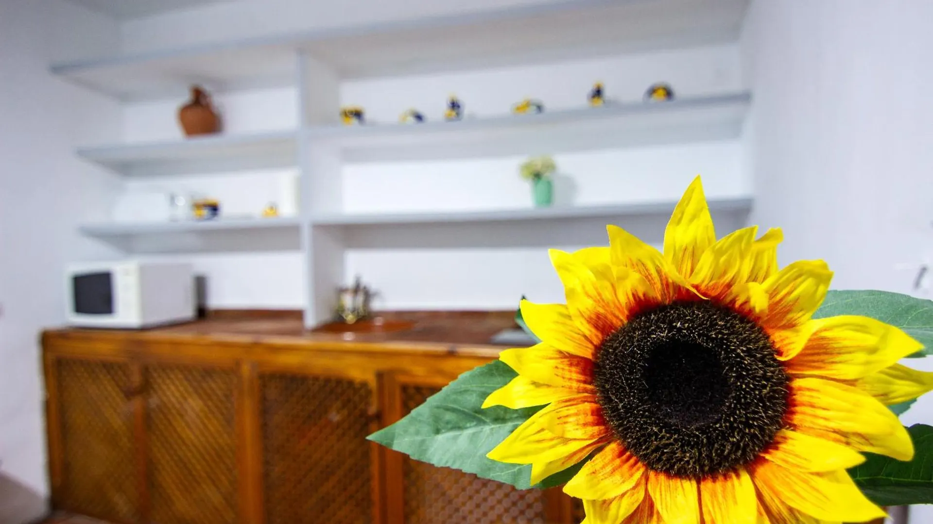 Apartment Rentalsevilla Un Oasis En El Centro De Sevilla